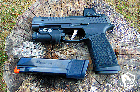 The SIG Sauer P365 Fuse atop a tree stump next to one of the included extended magazines.