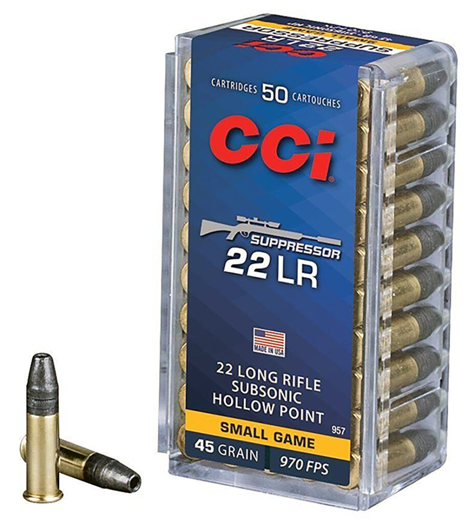 Suppressor hollow-point .22 load.