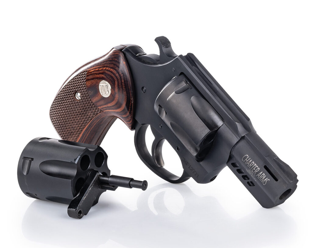 Charter Arms Double Dog revolver