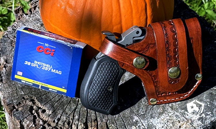 What Is a Garden Gun? Traditional and Modern Firearms for Property Protection